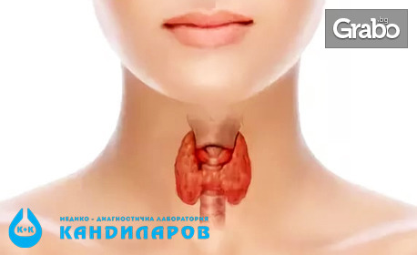 Пакет изследване на щитовидната жлеза: TSH, FT4, MAT, TAT, TRAB