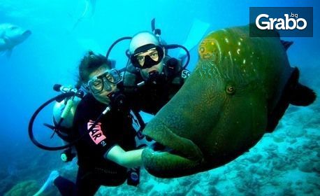 Пробно водолазно гмуркане Scuba Discovery в Созопол - с екипировка, инструктор и видеозаснемане